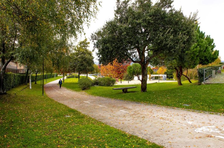 Arranca projeto de criação de ilhas-sombra em Fafe